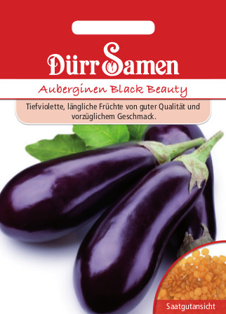 Aubergine Black Beauty 0553