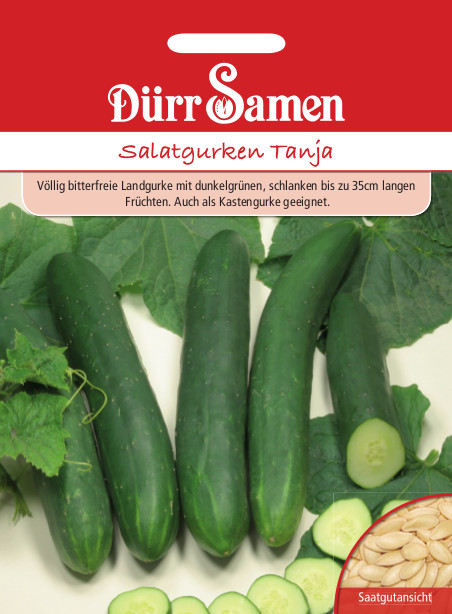 Gurke Salatgurken Tanja 1843