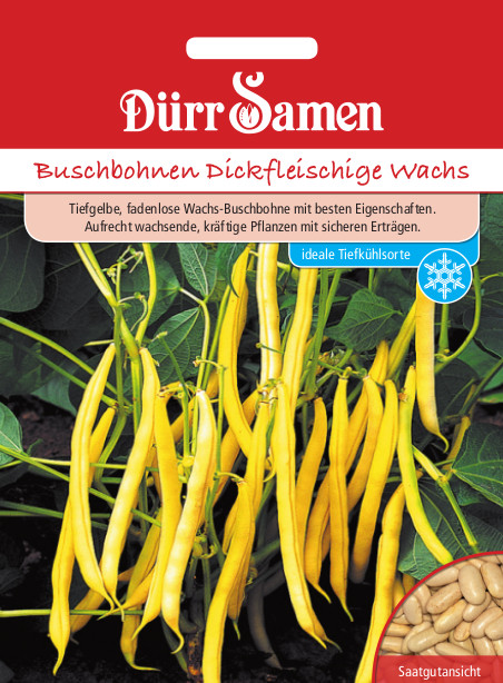 Bohne Buschbohnen Gelbe Wachs 0312