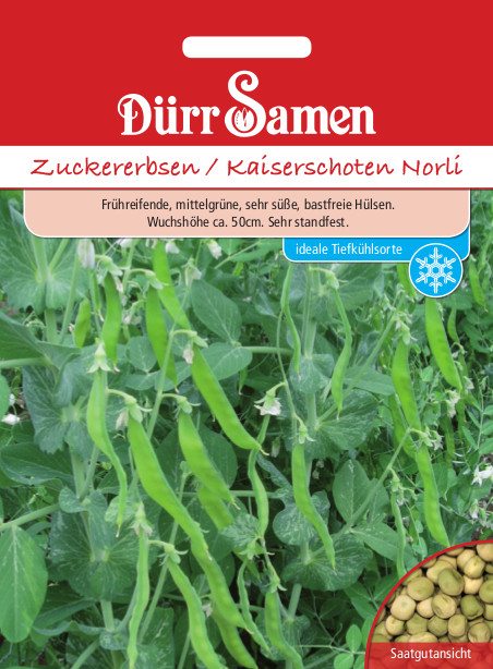 Erbse Zuckererbsen Norli 4116