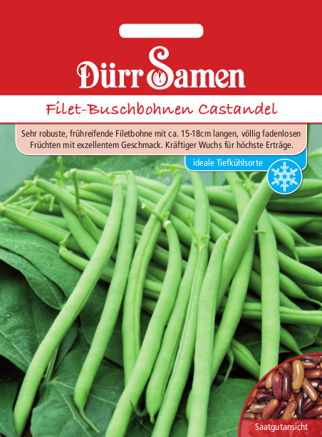 Bohne Filet-Buschbohnen Castandel 1156