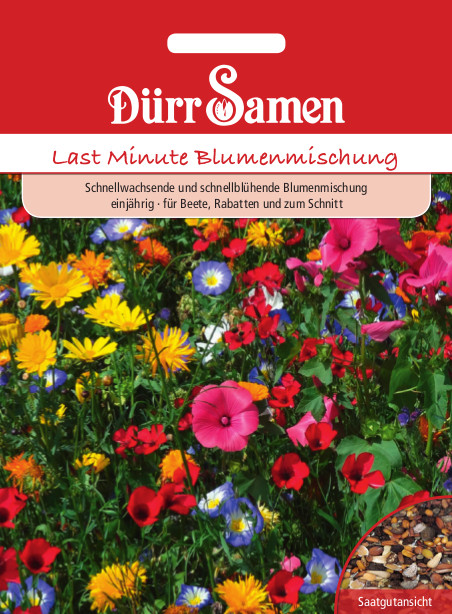 Last Minute Blumenmischung 4222