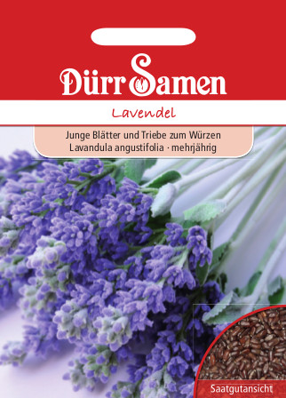 Lavendel 0181