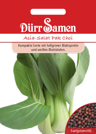 Asia-Salat Pak Choi 1804