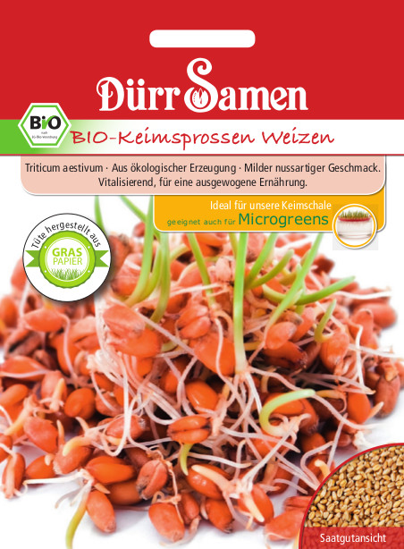 Weizen Bio-Keimsprossen 4179